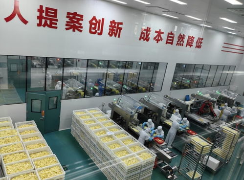 內(nèi)蒙古草原紅牛奶酪工廠建設(shè)加速，2026年投產(chǎn)將創(chuàng)造1.5億元年產(chǎn)值