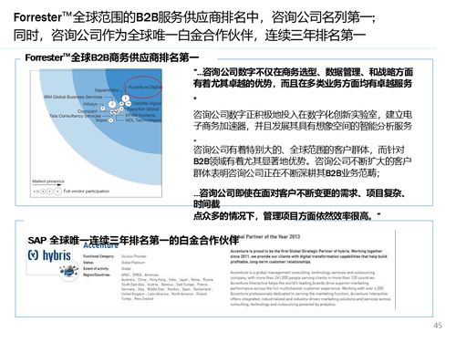 解讀大型快消集團數(shù)字化營銷系統(tǒng)解決方案 銷售與維護的精髓